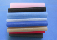 玉龙涤纶（PET）无纺布是什么